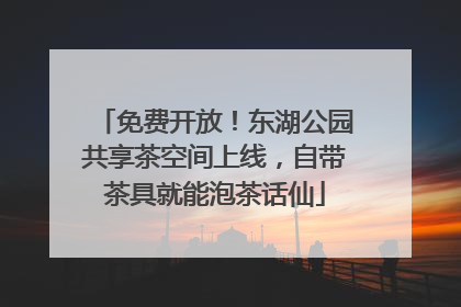 免费开放！东湖公园共享茶空间上线，自带茶具就能泡茶话仙