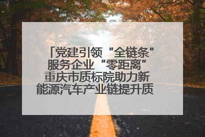 党建引领“全链条” 服务企业“零距离” 重庆市质标院助力新能源汽车产业链提升质量管理水平
