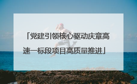党建引领核心驱动庆章高速一标段项目高质量推进