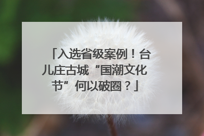入选省级案例！台儿庄古城“国潮文化节”何以破圈？