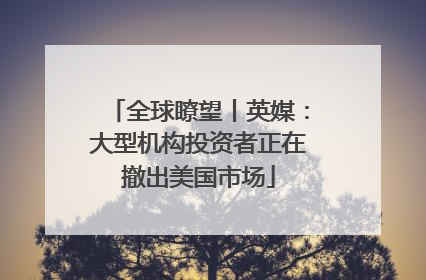 全球瞭望丨英媒：大型机构投资者正在撤出美国市场
