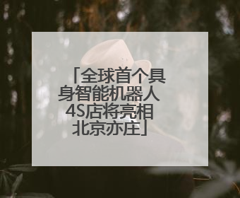 全球首个具身智能机器人4S店将亮相北京亦庄