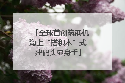 全球首创筑港机海上“搭积木”式建码头显身手
