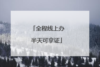 全程线上办 半天可拿证