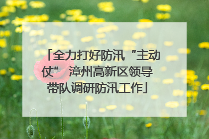 全力打好防汛“主动仗” 漳州高新区领导带队调研防汛工作