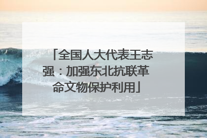 全国人大代表王志强：加强东北抗联革命文物保护利用