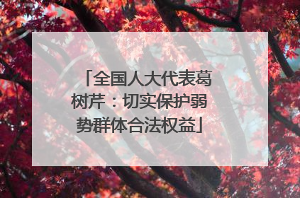 全国人大代表葛树芹：切实保护弱势群体合法权益