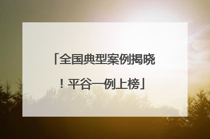 全国典型案例揭晓！平谷一例上榜