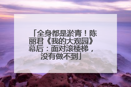全身都是淤青！陈丽君《我的大观园》幕后：面对滚楼梯，没有做不到
