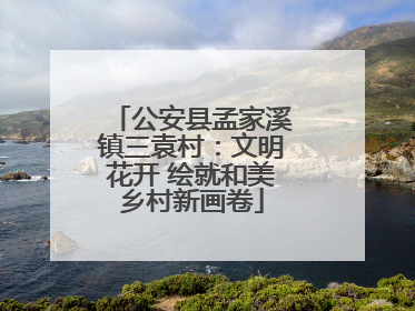 公安县孟家溪镇三袁村：文明花开 绘就和美乡村新画卷