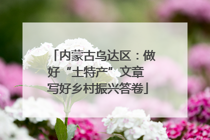 内蒙古乌达区：做好“土特产”文章 写好乡村振兴答卷