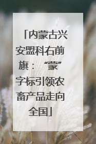 内蒙古兴安盟科右前旗：“蒙”字标引领农畜产品走向全国