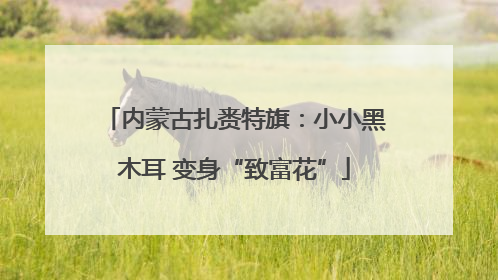 内蒙古扎赉特旗：小小黑木耳 变身“致富花”