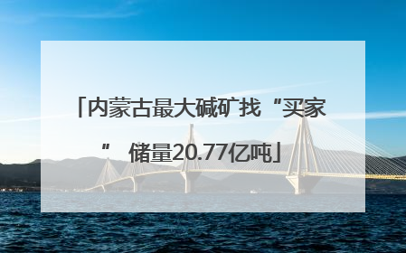 内蒙古最大碱矿找“买家” 储量20.77亿吨