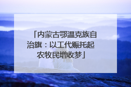 内蒙古鄂温克族自治旗：以工代赈托起农牧民增收梦