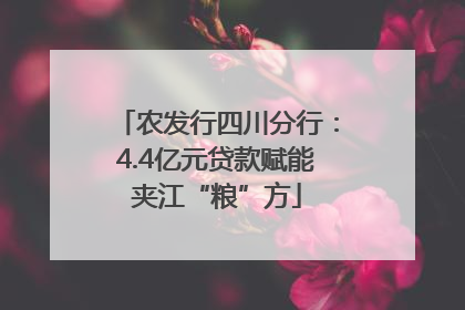 农发行四川分行：4.4亿元贷款赋能夹江“粮”方