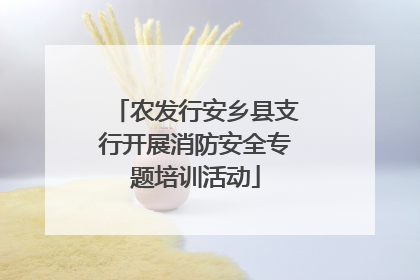农发行安乡县支行开展消防安全专题培训活动
