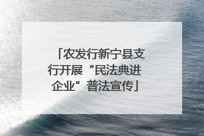 农发行新宁县支行开展“民法典进企业”普法宣传