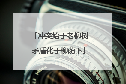 冲突始于老柳树 矛盾化于柳荫下