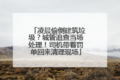 凌晨偷倒建筑垃圾？城管追查当场处理！司机带着罚单回来清理现场