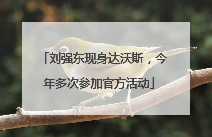 刘强东现身达沃斯，今年多次参加官方活动