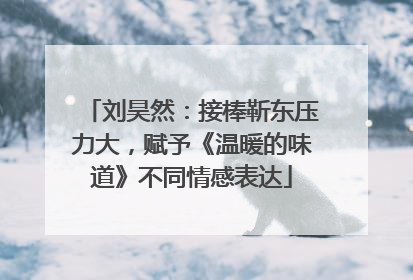 刘昊然：接棒靳东压力大，赋予《温暖的味道》不同情感表达