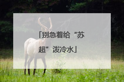 别急着给“苏超”泼冷水