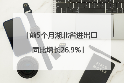 前5个月湖北省进出口同比增长26.9%