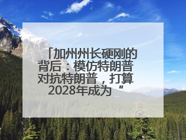 加州州长硬刚的背后：模仿特朗普对抗特朗普，打算2028年成为“特朗普”