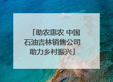 助农惠农 中国石油吉林销售公司助力乡村振兴