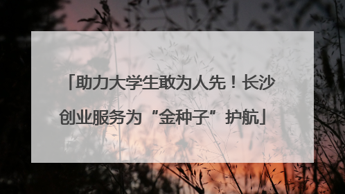 助力大学生敢为人先！长沙创业服务为“金种子”护航