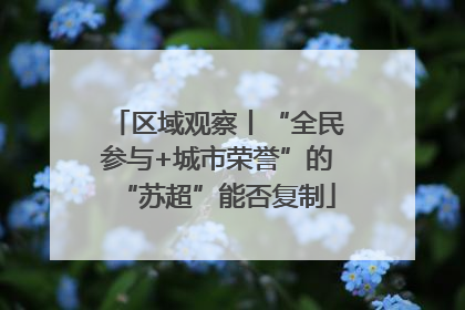 区域观察丨“全民参与+城市荣誉”的“苏超”能否复制