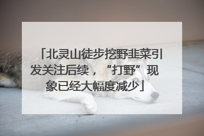 北灵山徒步挖野韭菜引发关注后续，“打野”现象已经大幅度减少