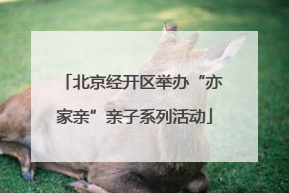 北京经开区举办“亦家亲”亲子系列活动