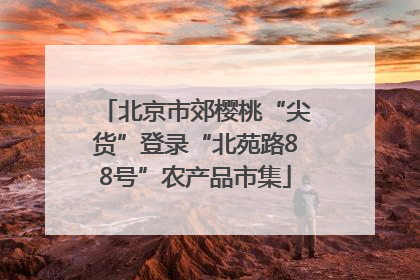北京市郊樱桃“尖货”登录“北苑路88号”农产品市集