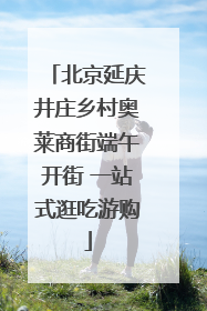 北京延庆井庄乡村奥莱商街端午开街 一站式逛吃游购