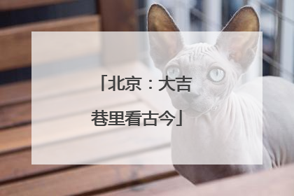 北京：大吉巷里看古今