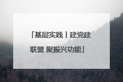 基层实践丨建党建联盟 聚振兴功能