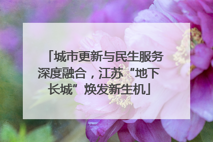 城市更新与民生服务深度融合，江苏“地下长城”焕发新生机