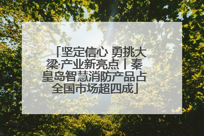 坚定信心 勇挑大梁·产业新亮点丨秦皇岛智慧消防产品占全国市场超四成