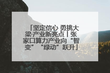 坚定信心 勇挑大梁·产业新亮点丨张家口算力产业向“智变”“绿动”跃升