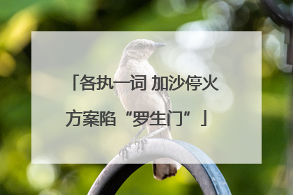 各执一词 加沙停火方案陷“罗生门”