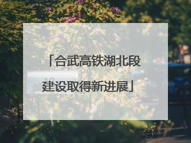 合武高铁湖北段建设取得新进展