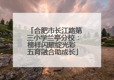 合肥市长江路第三小学兰亭分校：榜样闪耀绽光彩 五育融合助成长