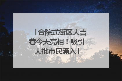 合院式街区大吉巷今天亮相！吸引大批市民涌入