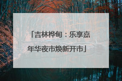 吉林桦甸：乐享嘉年华夜市焕新开市