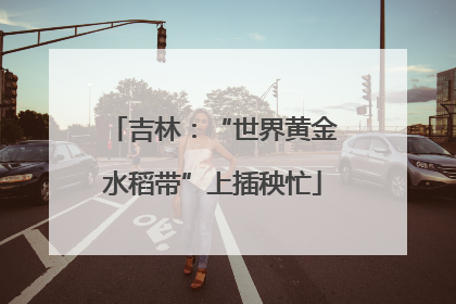 吉林：“世界黄金水稻带”上插秧忙