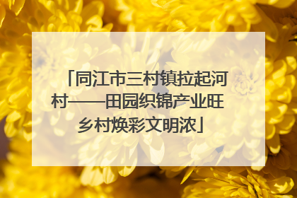 同江市三村镇拉起河村——田园织锦产业旺 乡村焕彩文明浓