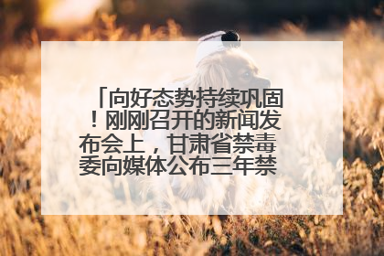 向好态势持续巩固！刚刚召开的新闻发布会上，甘肃省禁毒委向媒体公布三年禁毒工作“成绩单”