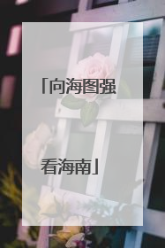 向海图强看海南